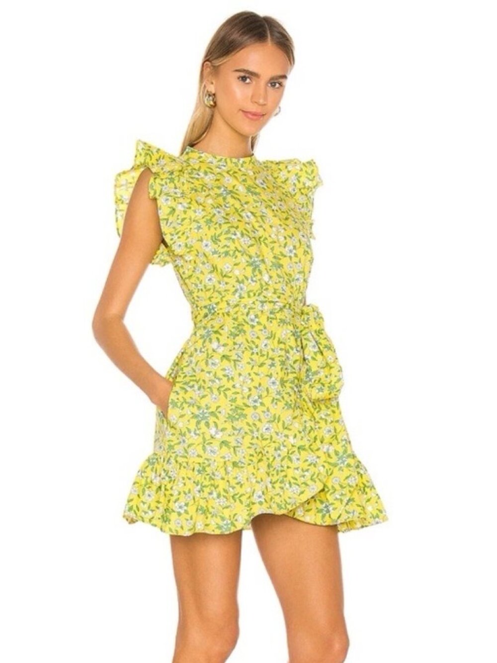 Banjanan Audrey Floral Cotton-Poplin Flutter Sleeve Mini Dress in Spring Aurora